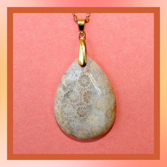 Pendentifs en Corail de fossiles d'Agate